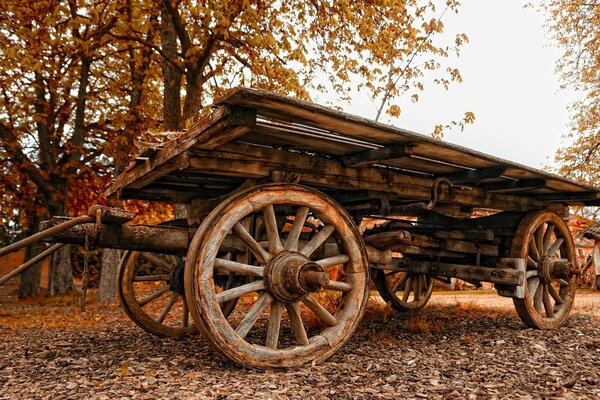 Chariot en bois dans le paysage d automne