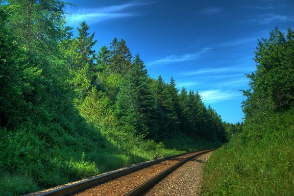 Chemin de fer avec beau paysage