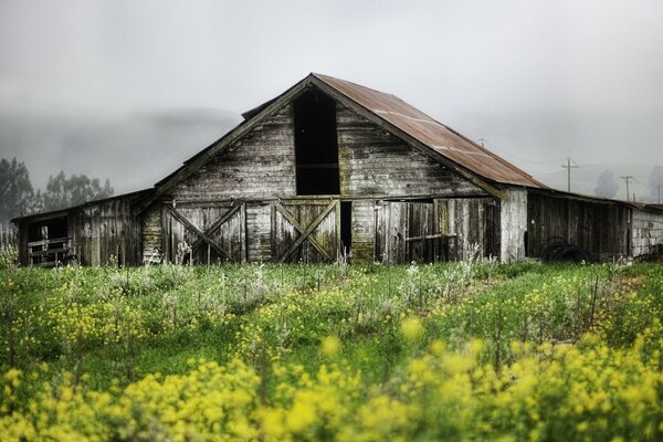 Abandonné dans le domaine de la construction sur fond de ciel gris