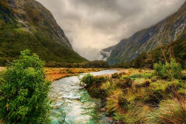 Journey to the mouth of the river