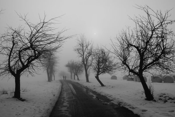 Winter road with beautiful fog