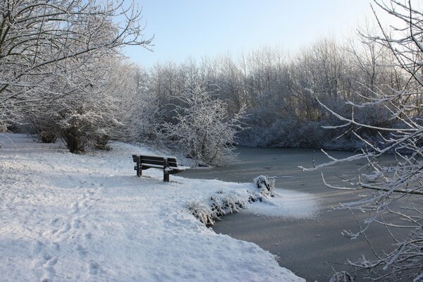 Banc solitaire sur la rive d une rivière gelée