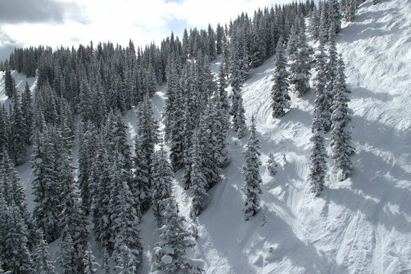 Invierno en las montañas. Belleza blanca como la nieve