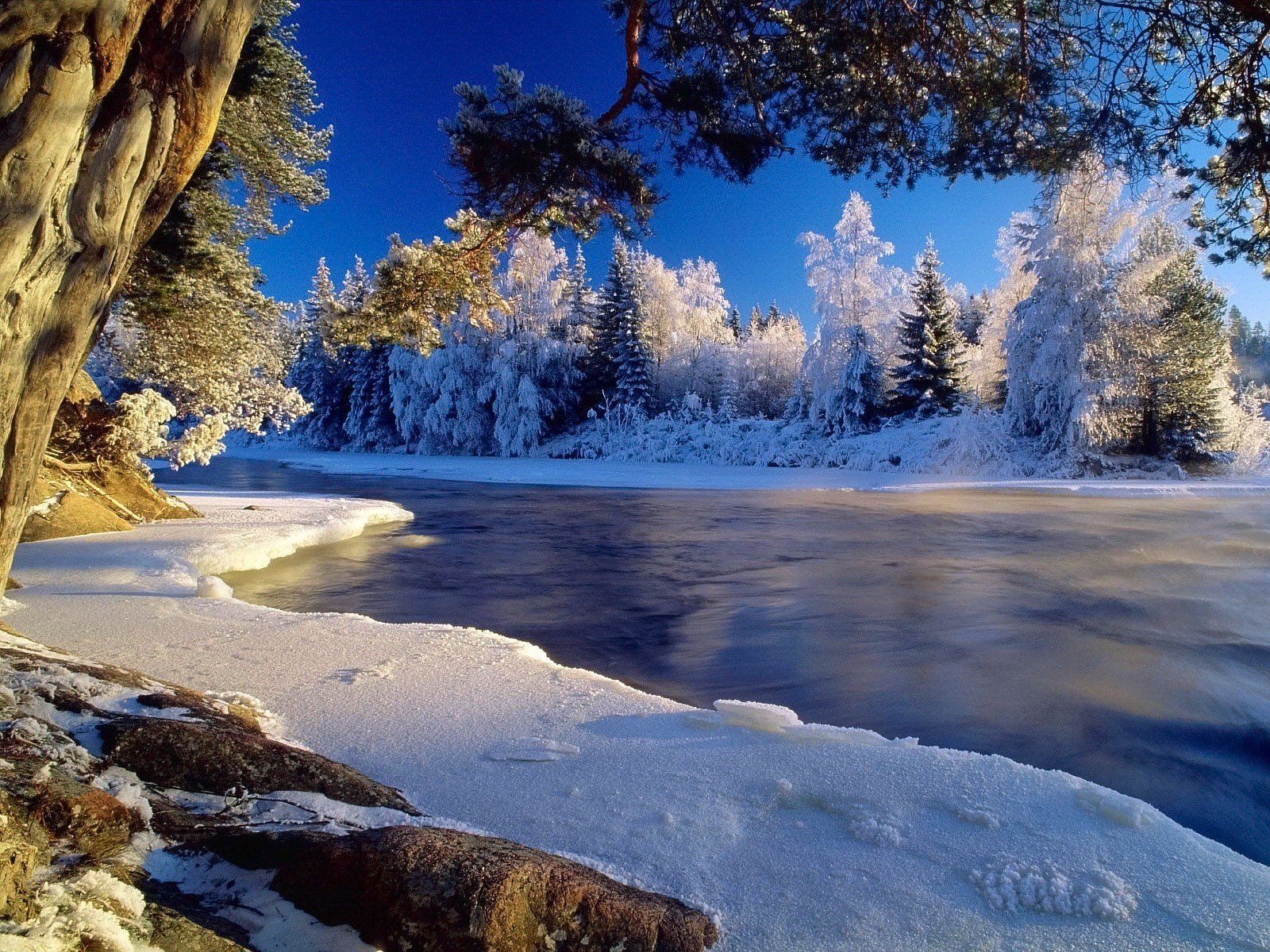 hiver glace froid givre