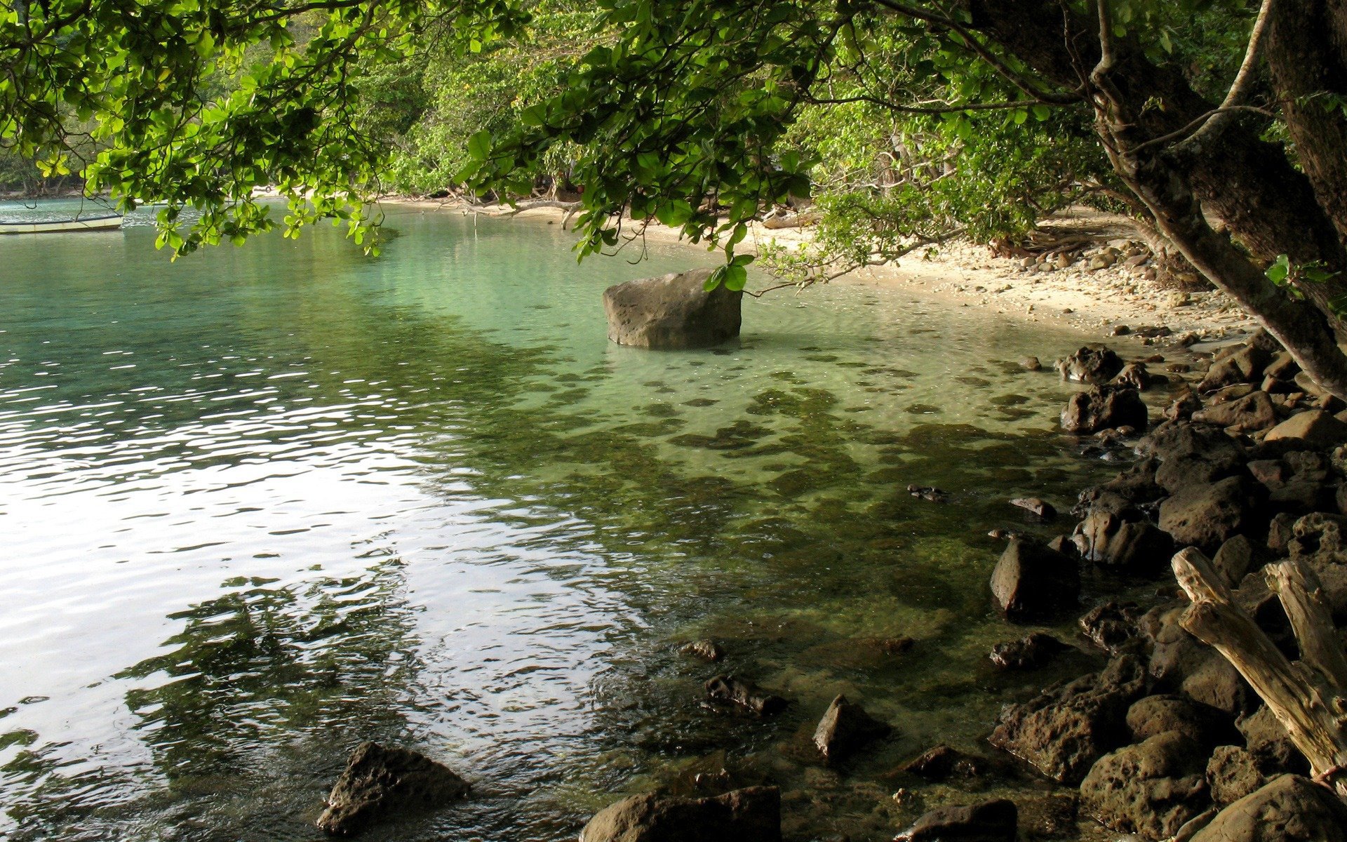 вода камни дерево листва тень