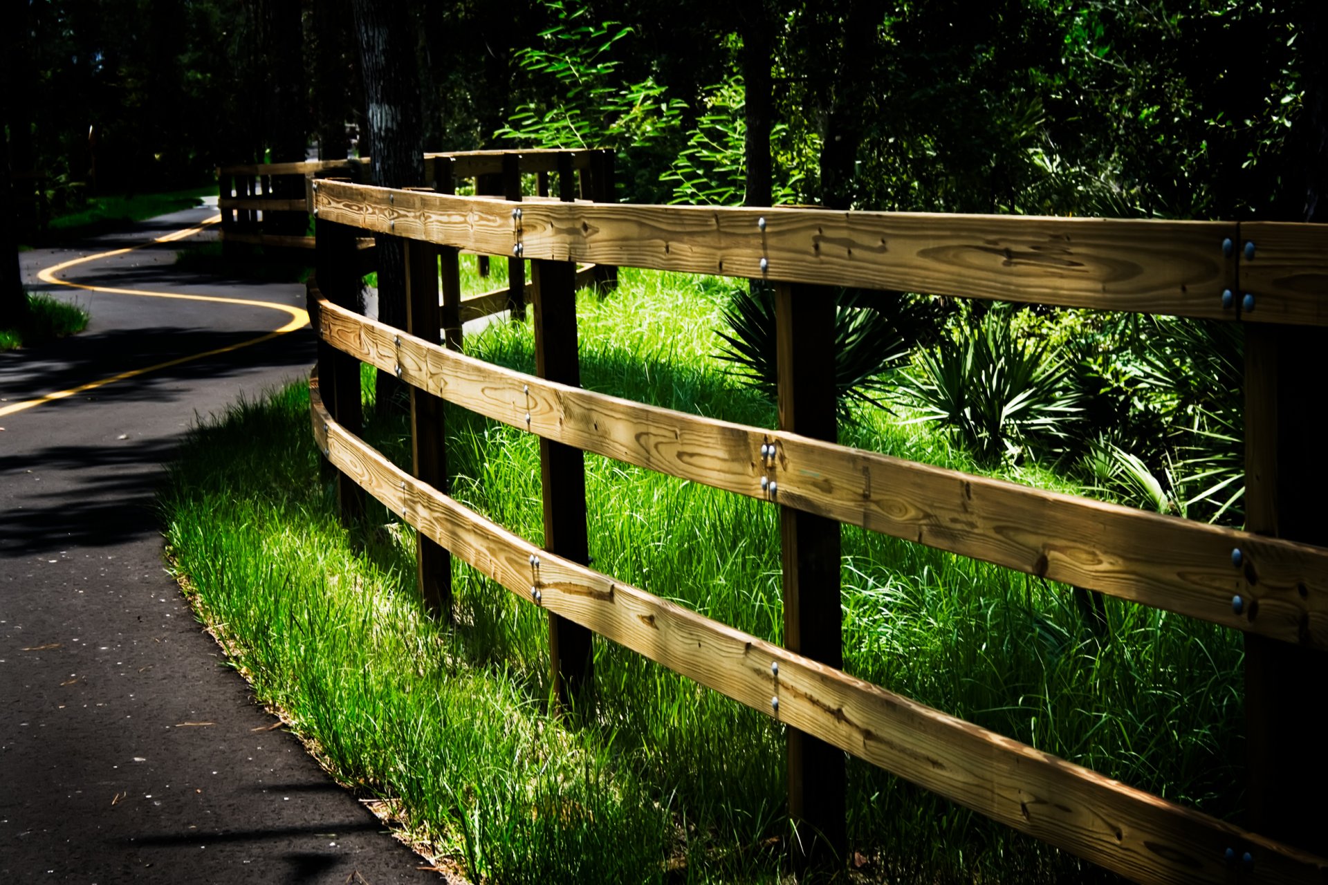 strada foresta recinzione