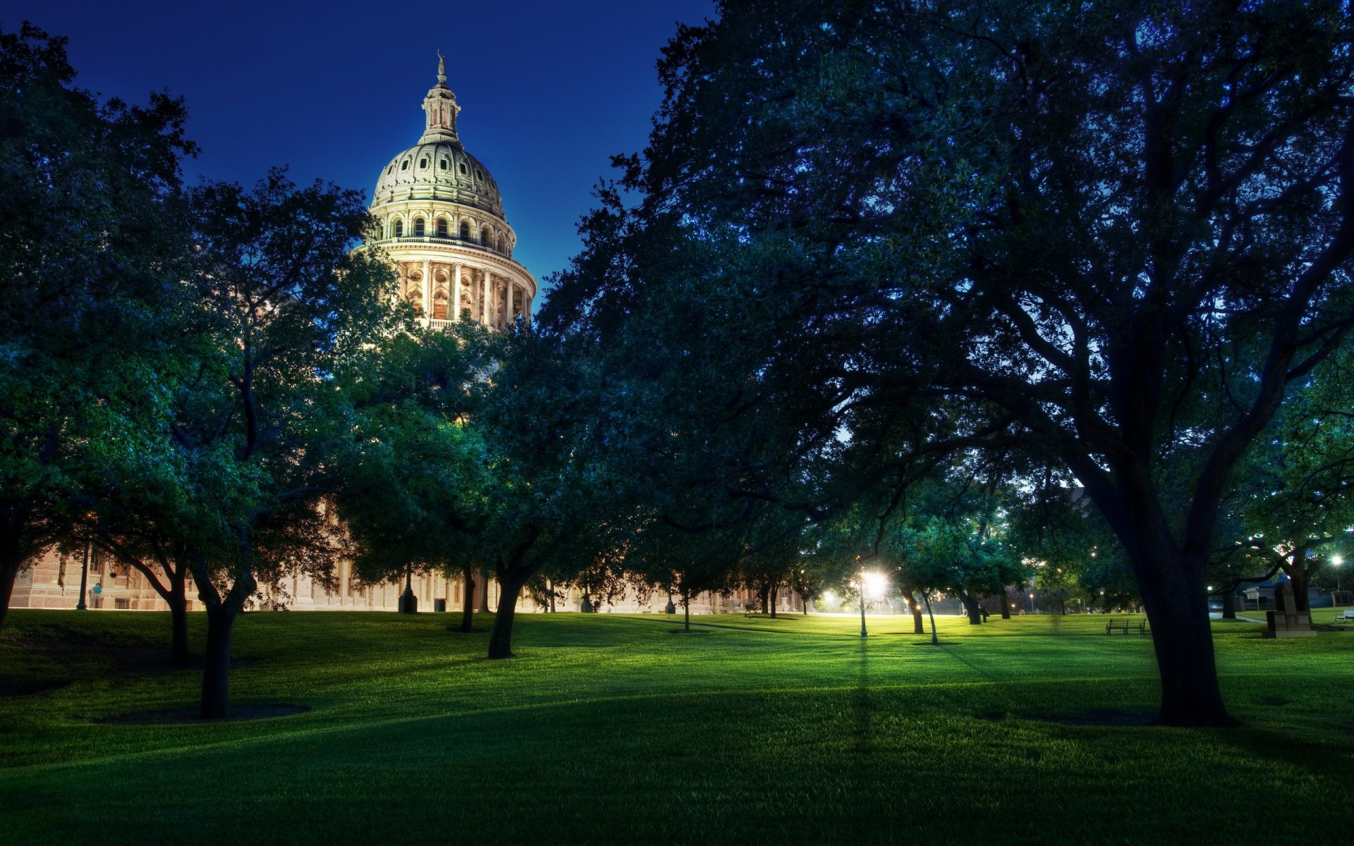 bäume capitol austin