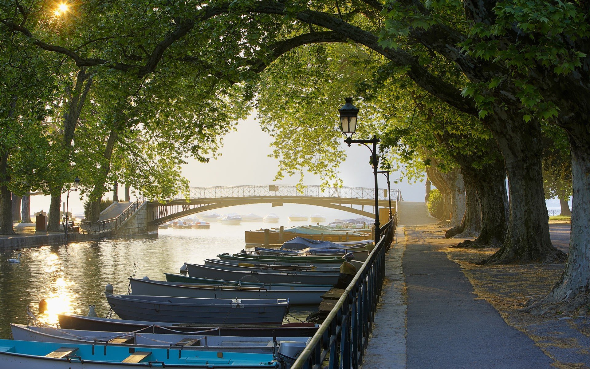 france channel alley boat bridge tree