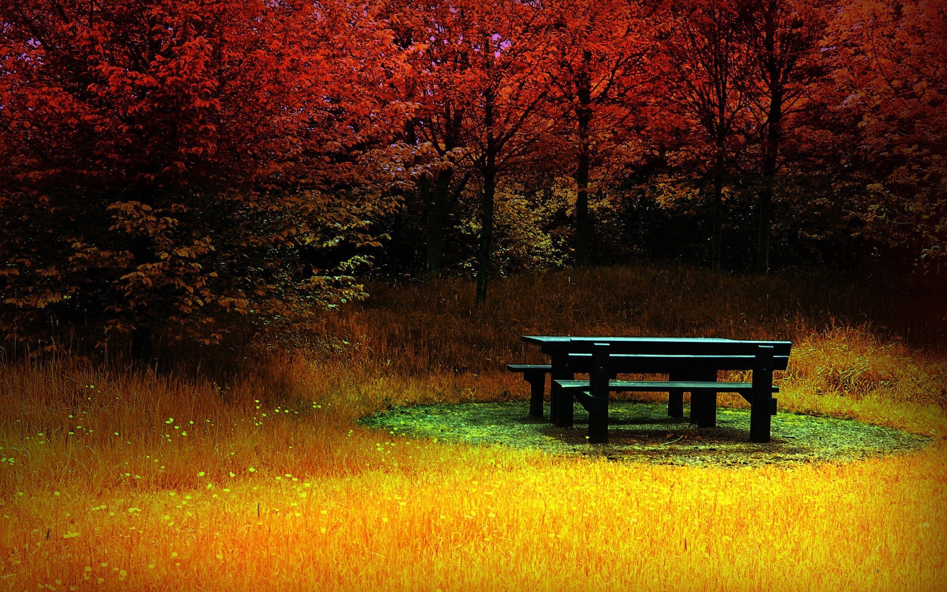 bank gras wald farbe herbst