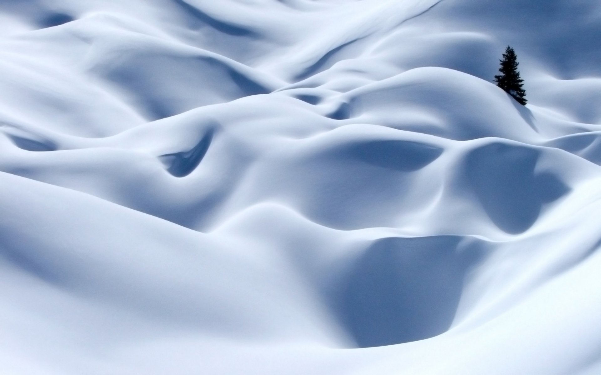 alpes nieve árbol blanco invierno