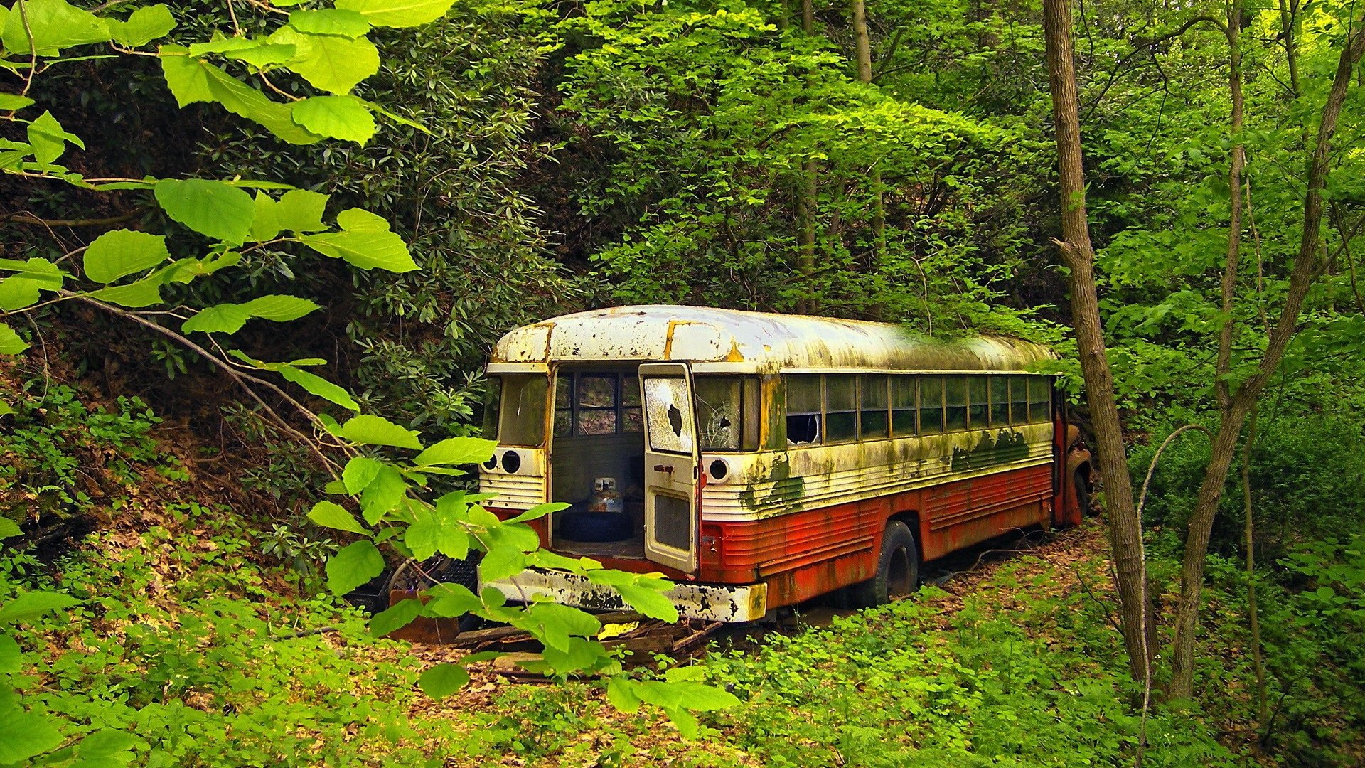 old bus forest green