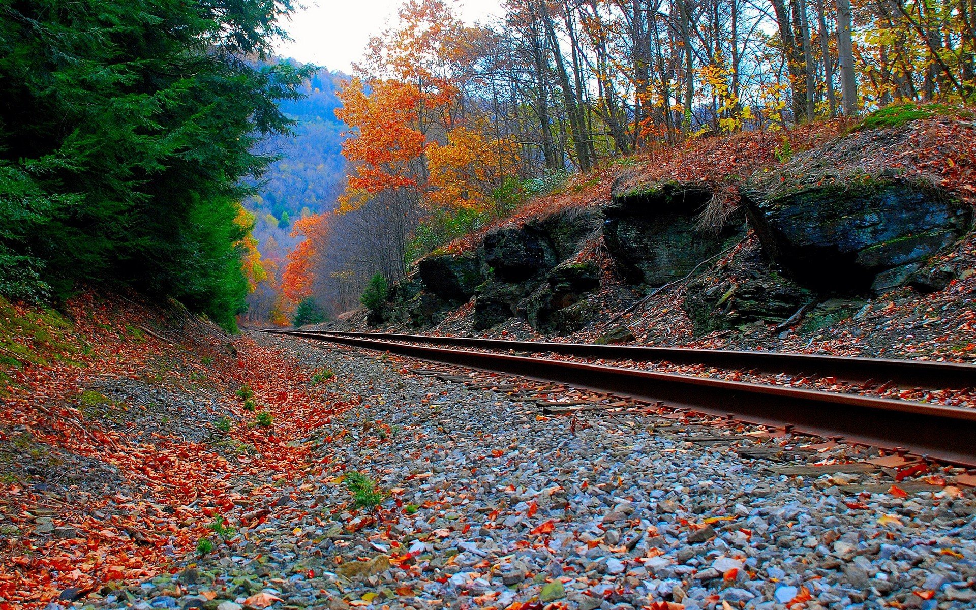 ferrocarril carretera otoño bosque