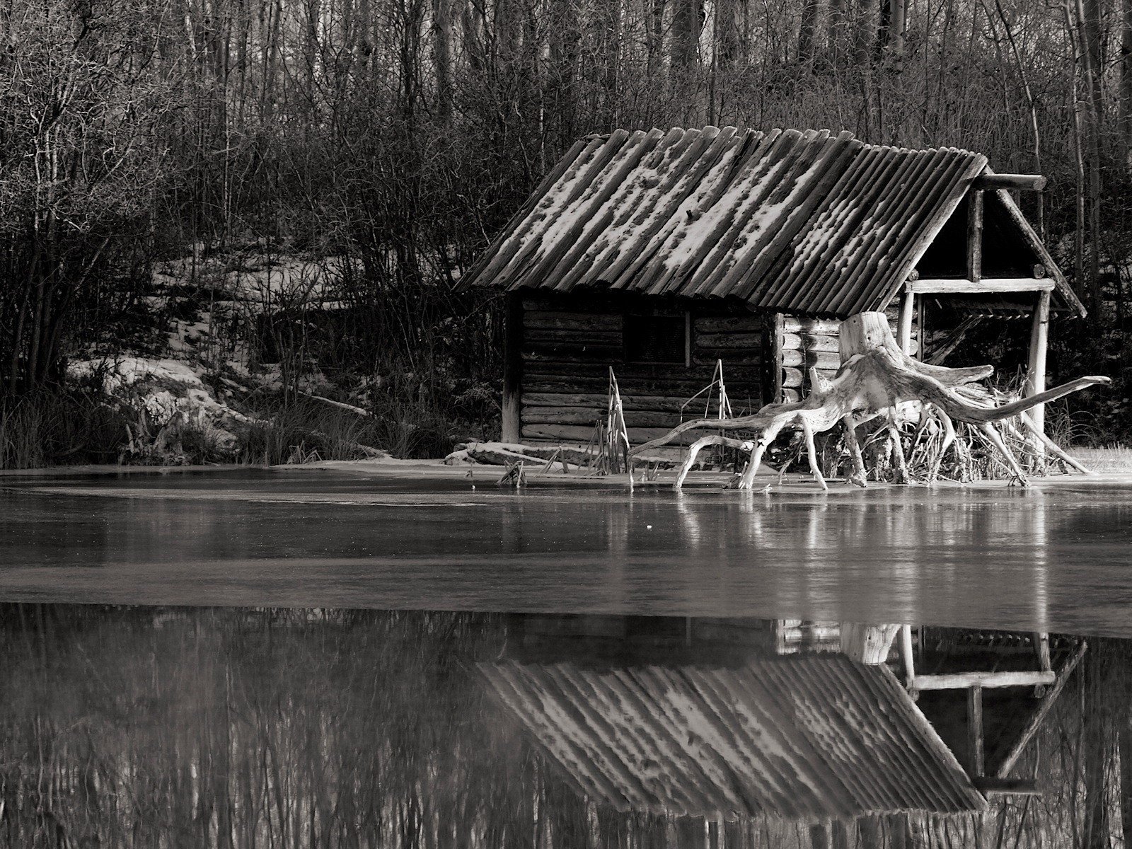 blanco y negro río raíz