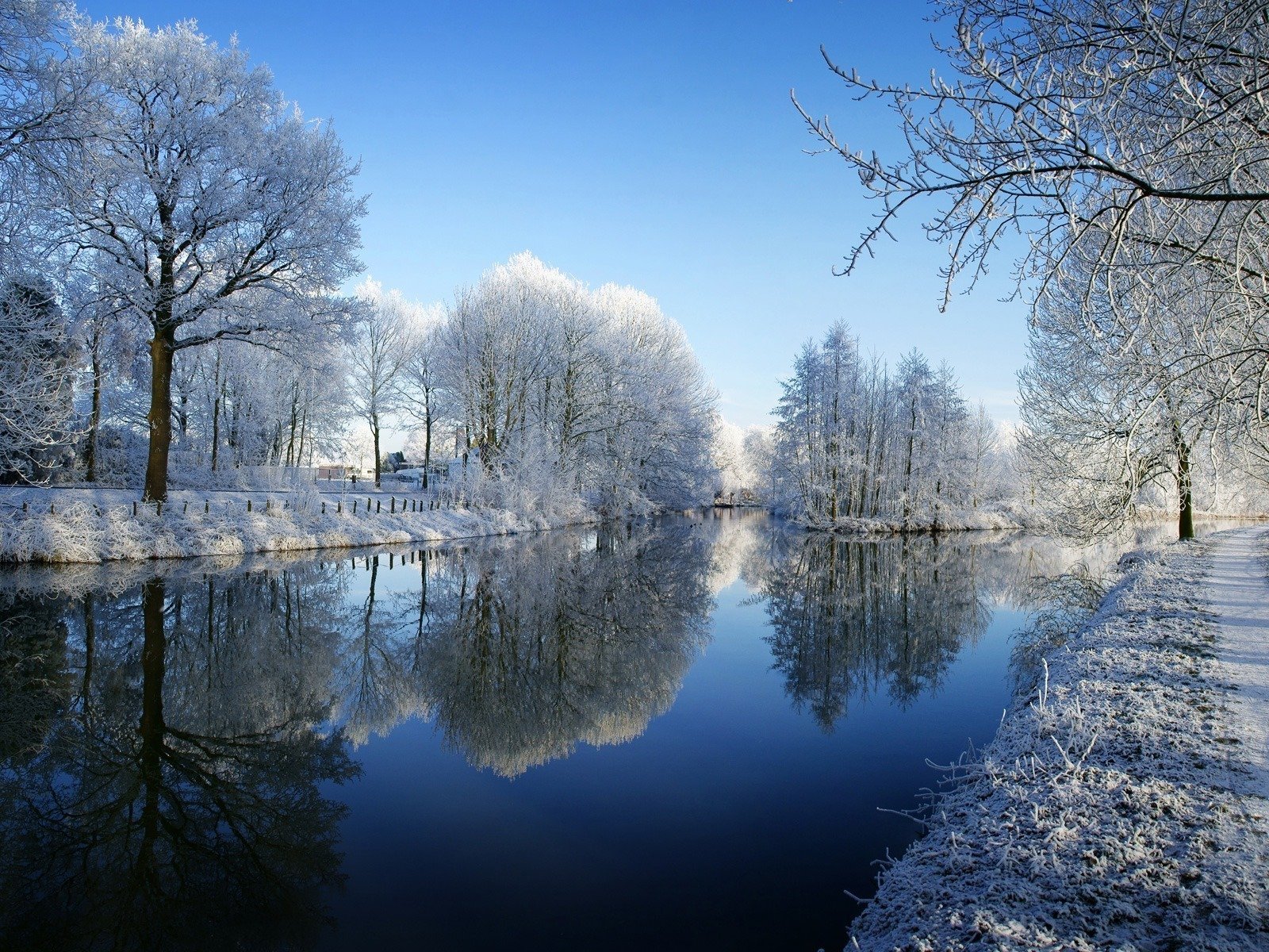 inverno fiume alberi gelo neve