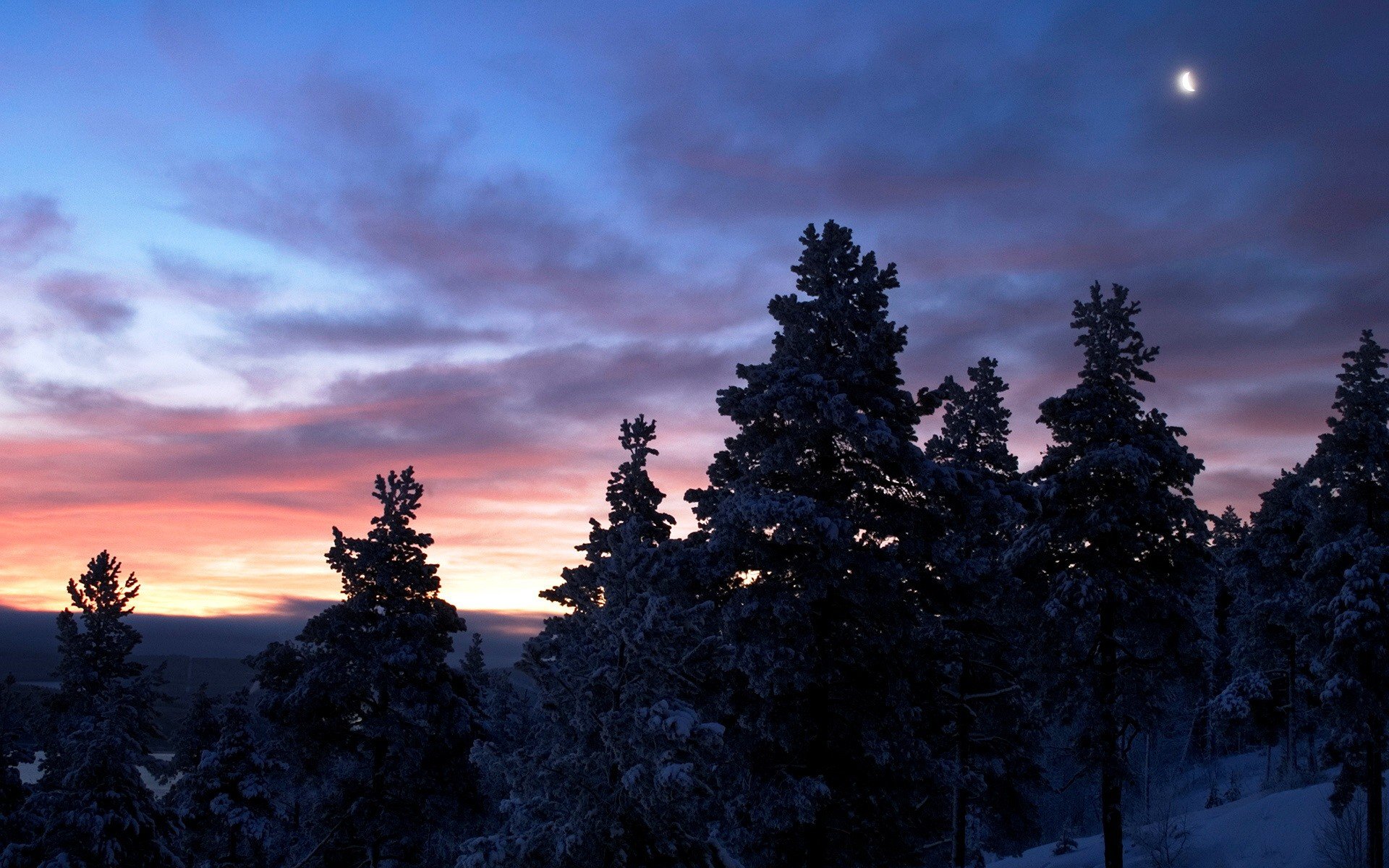 arbres neige hiver nuages lune