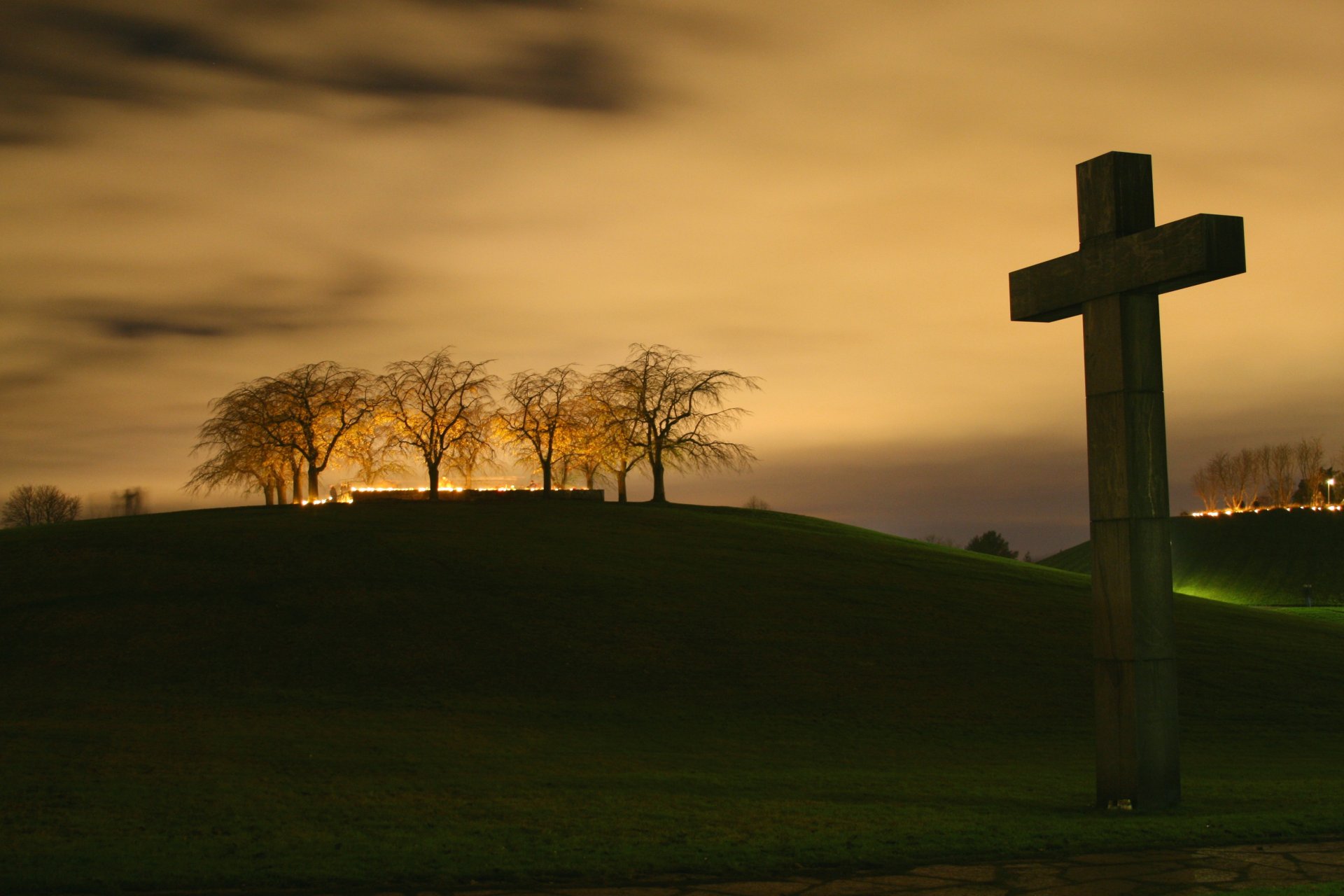 cross night tree