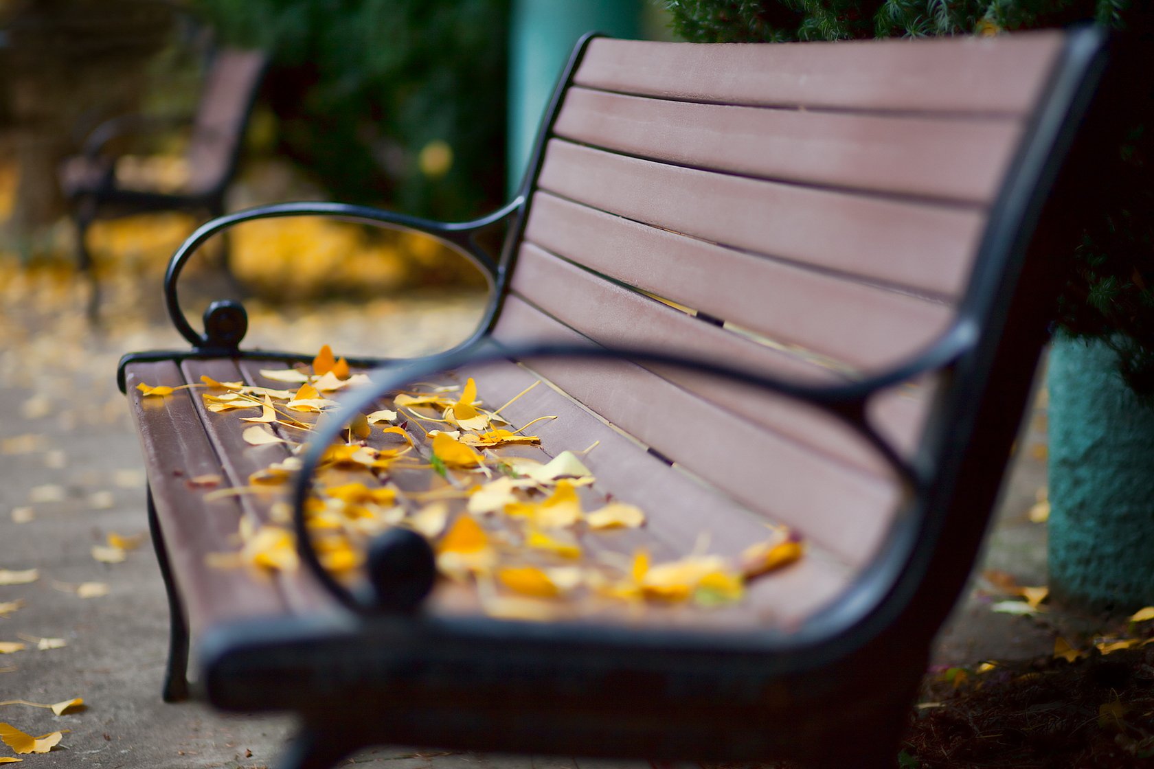 banc feuilles automne