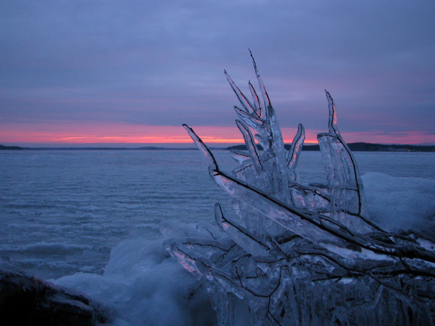 glace hiver branche eau