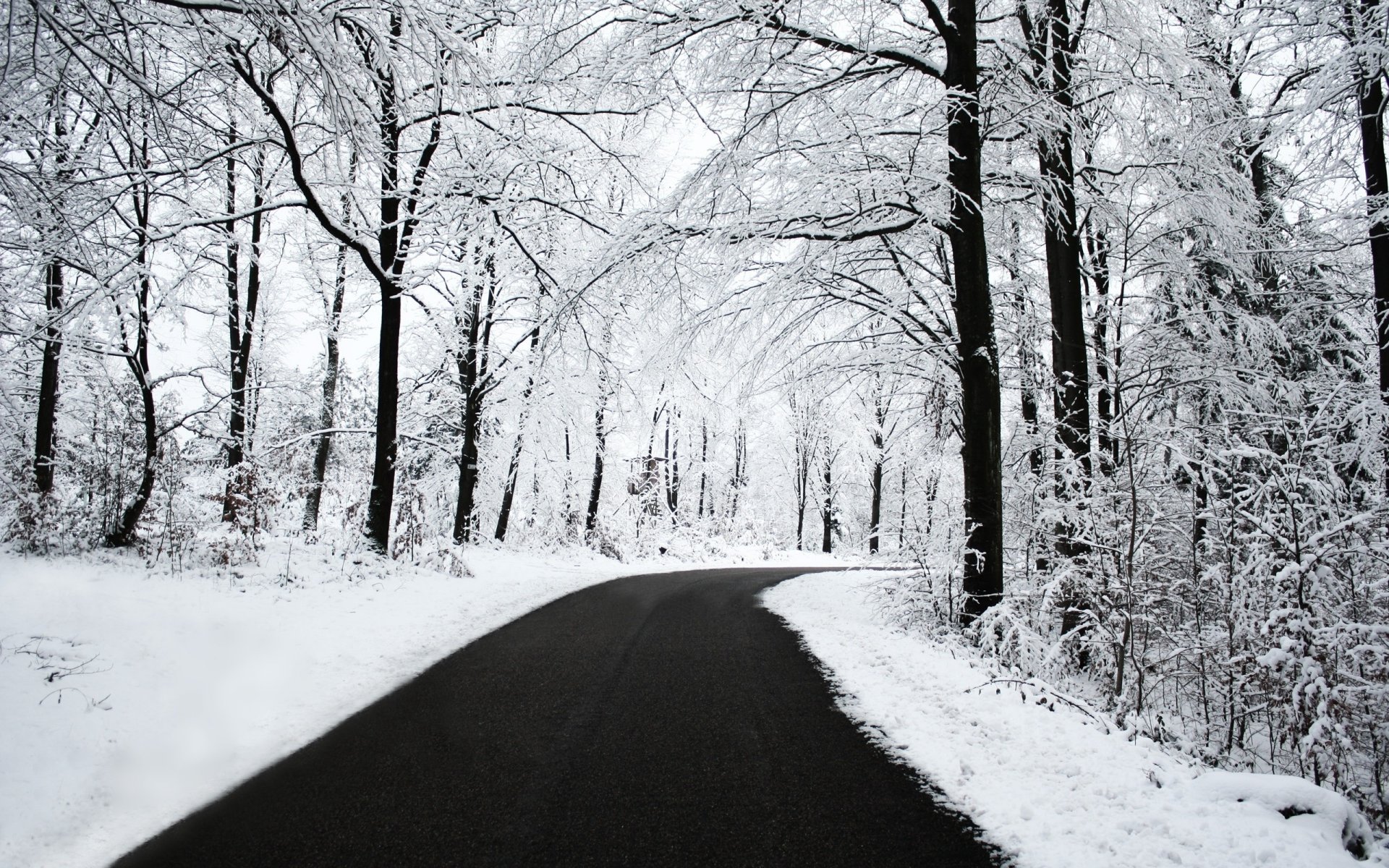 hiver route forêt neige