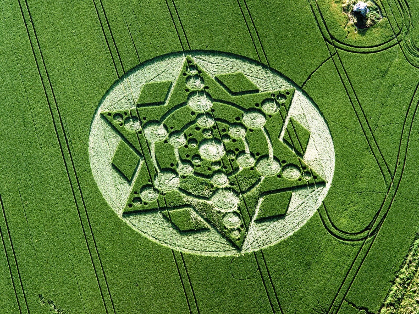 ufo feld kreise auf feldern natur