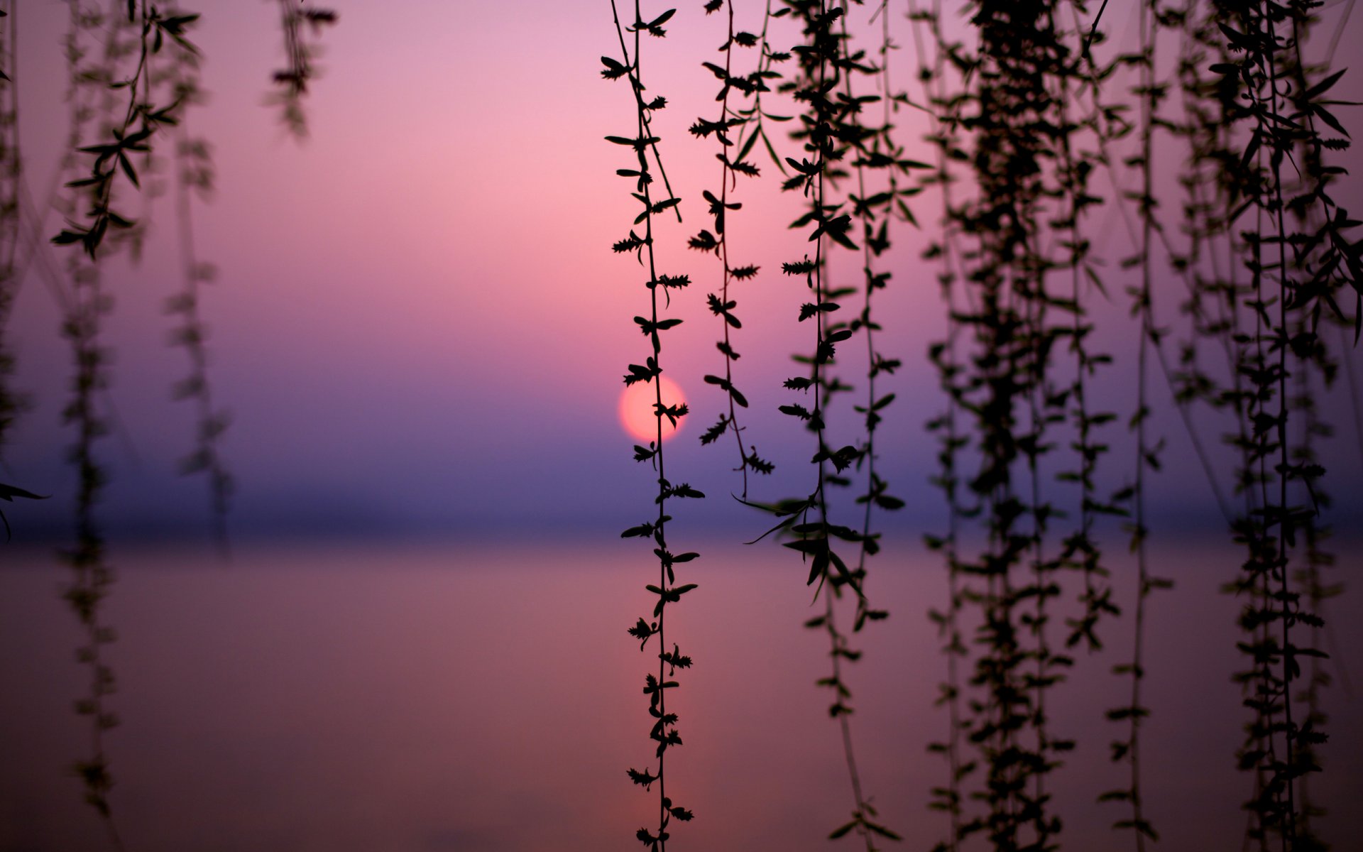 chine lac coucher de soleil