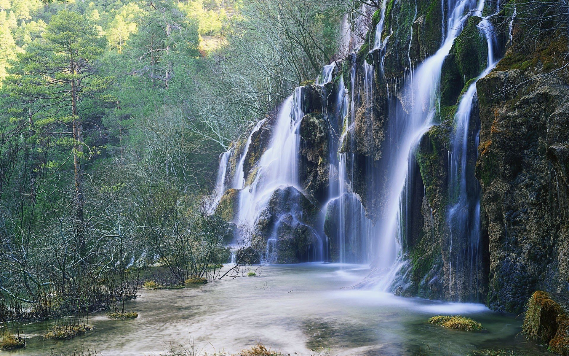 cascata alberi foresta