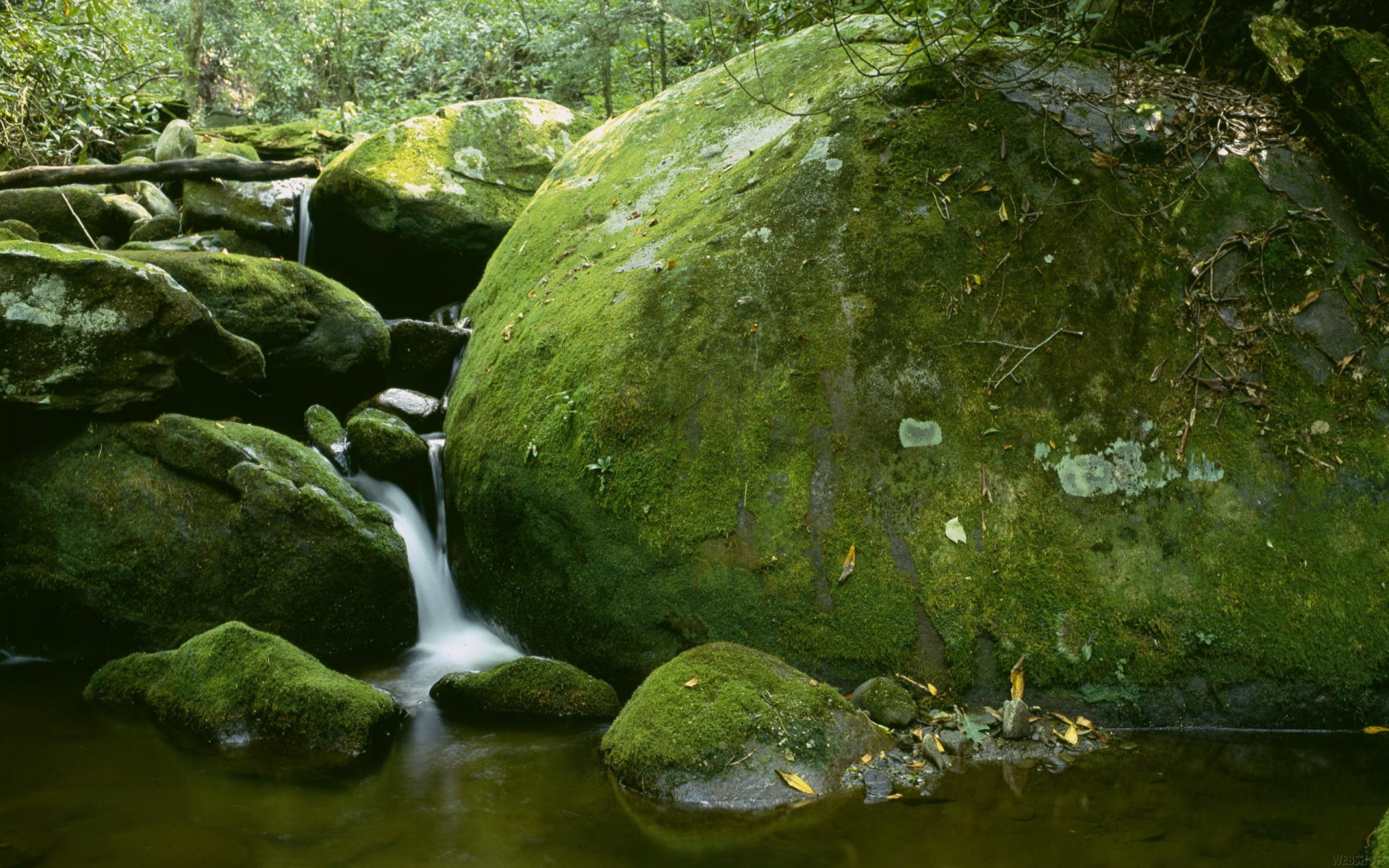 cascada piedras musgo