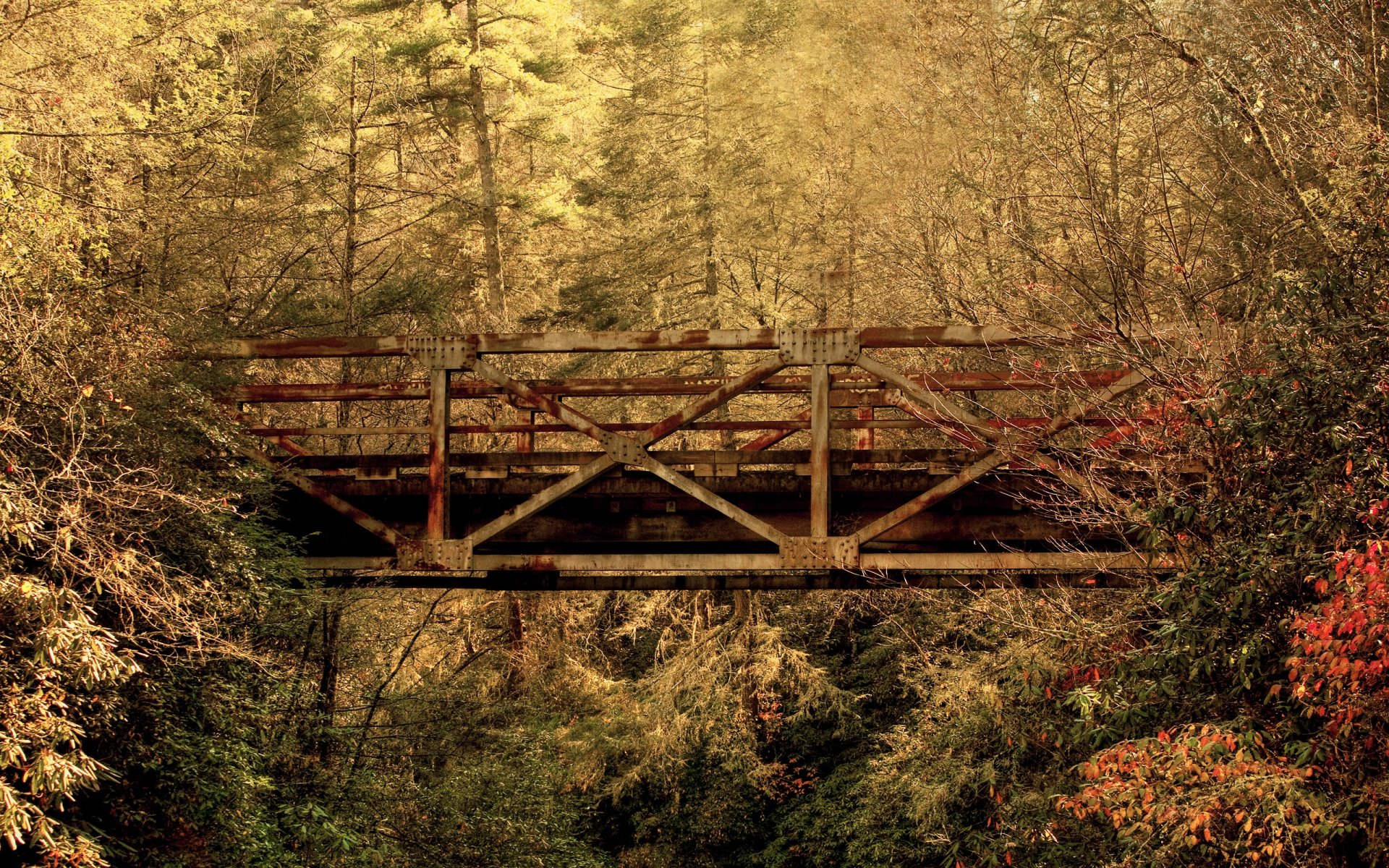 autumn bridge forest leaves south carolina