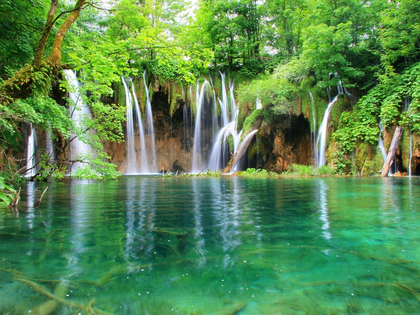 cascade eau forêt