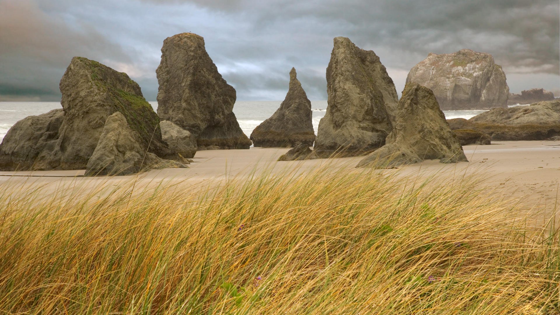 grass rock beach