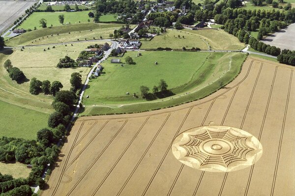 Inexplicable intricate circles on the field