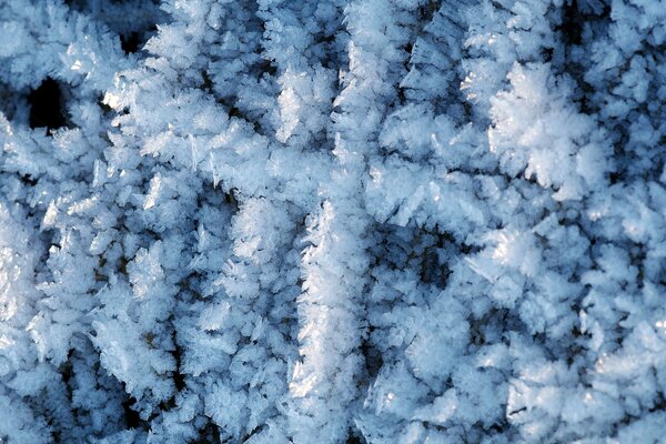 Frost- und Eiskristalle in der Nähe