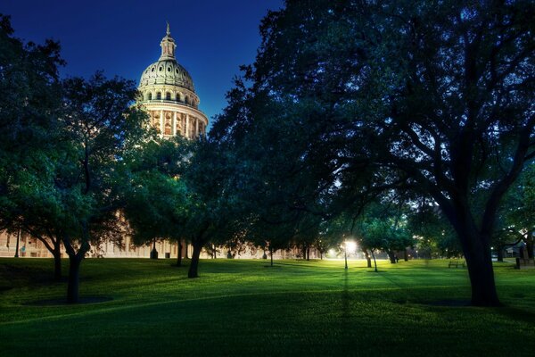 Evening Capitol. Trees. Austin