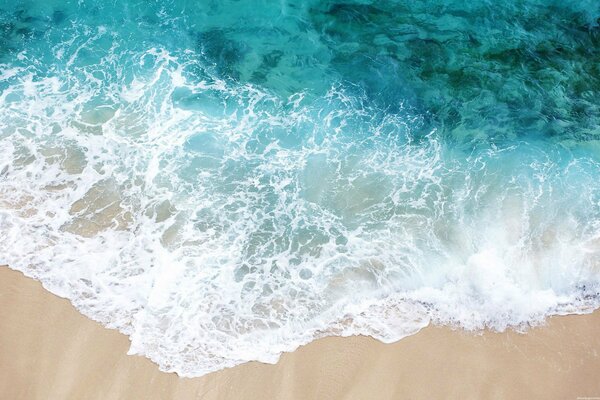 Surf marin sur la plage de sable