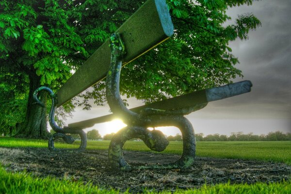 Le banc solitaire a vu beaucoup de choses