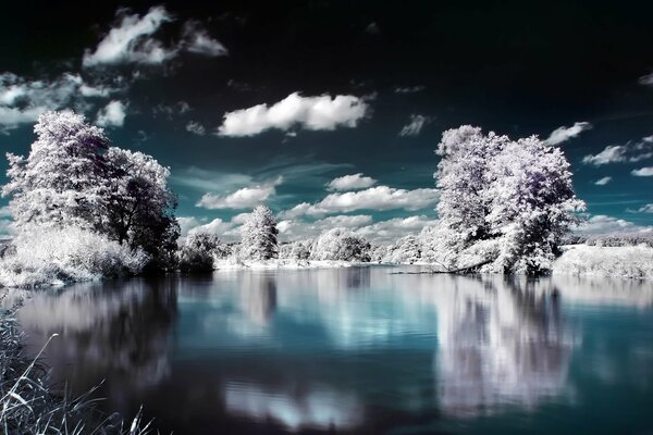 Unglaubliche Landschaft mit Bäumen und der Reflexion des Himmels im Wasser