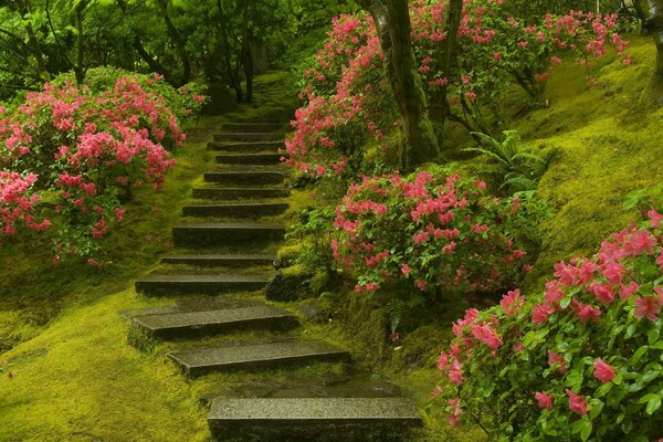 Stairs in the Japanese Garden of the World