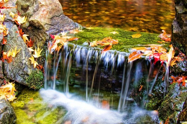 Flux d eau d automne du monde