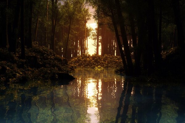 Rivière dans la forêt sur fond de coucher de soleil