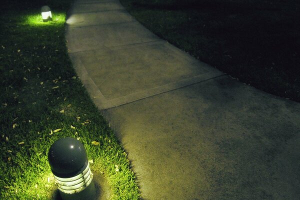 An alley in the park with a lawn and a lantern