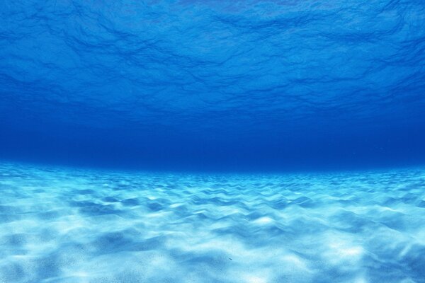 La bellezza delle profondità dell oceano blu