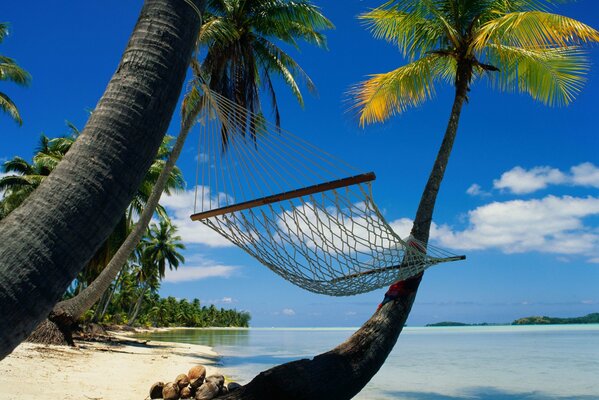 Hammock under palmamm on the islands by the ocean