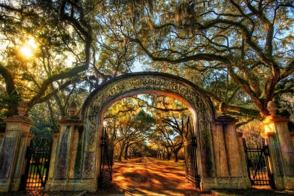 Allée du parc wormsloe