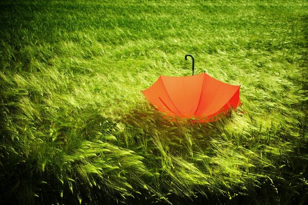 An orange umbrella lying on the green grass