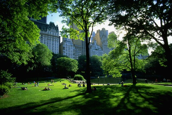 Parks in New York are green