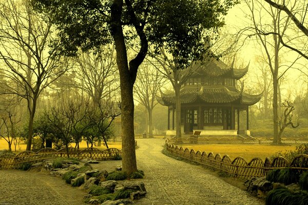 Sentier du jardin asiatique