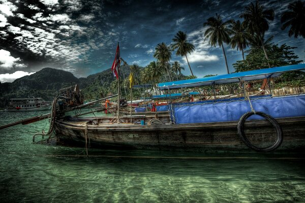 The boat floats on the water past the palm trees