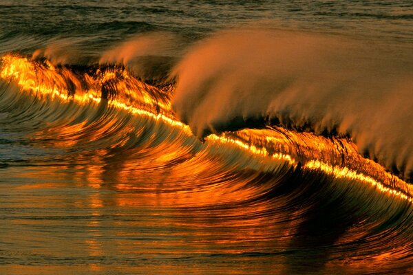 Ola de mar con reflejo de puesta de sol