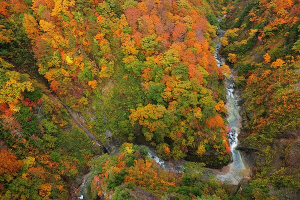 Fluss in der Schlucht Draufsicht