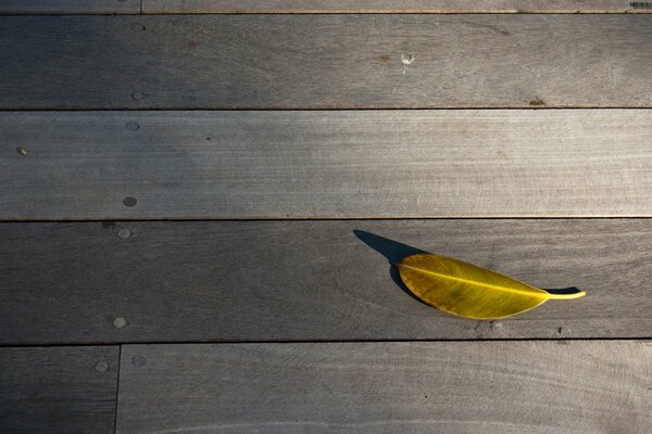 Photo of the sheet on the boards. Shadow